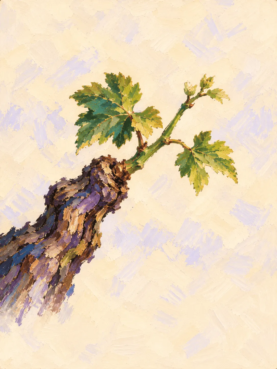 A painted vine, staked by hand, growing into a ripe bunch of grapes